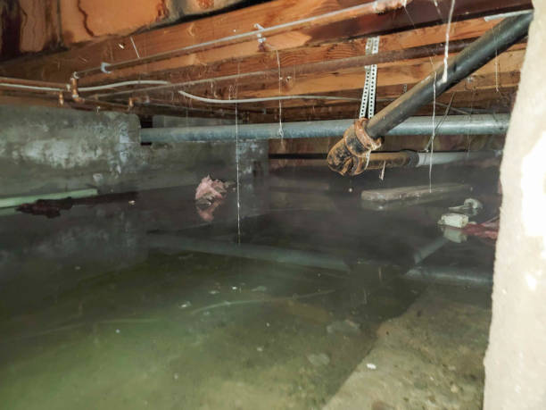 Best Sewage cleanup and water damage restoration  in Tucker, GA