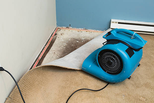 Best Carpet water damage restoration  in Tucker, GA